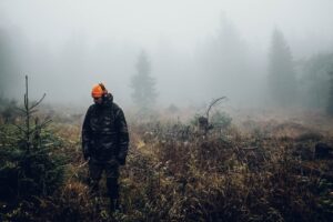 fredrik ohlander zfcnmzg8cxa unsplash (1)