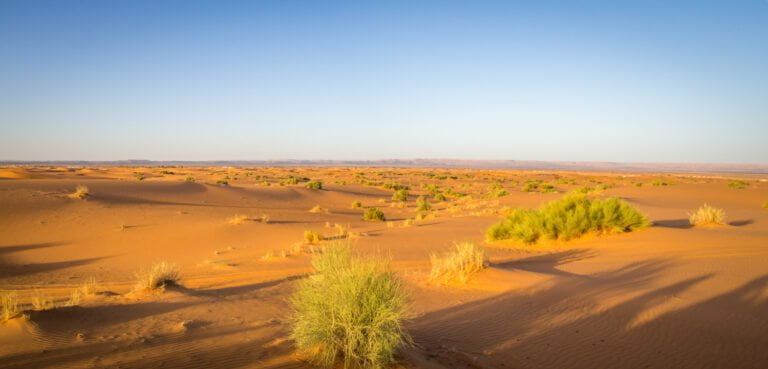 panoramic shot erg chebbi dunes sahara desert morocco