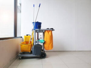 istockphoto 1413272309 612x612