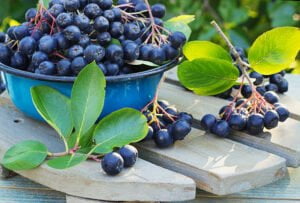 chokeberry in a metal bowl on the street