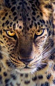 dustin humes rgksnlzjh8s unsplash