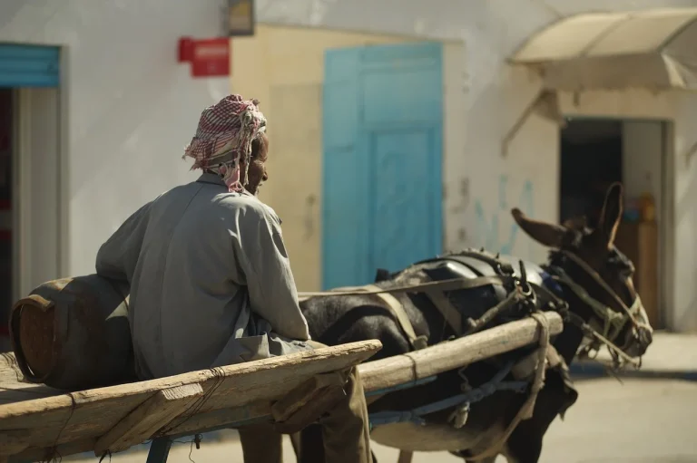 vacanta in tunisia