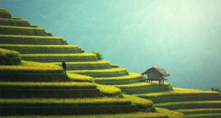 vacanta in bali