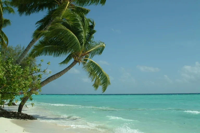 vacanta in maldive