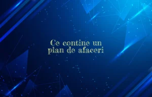 ce contine un plan de afaceri