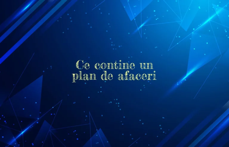 ce contine un plan de afaceri