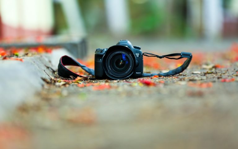 in cat timp se regenereaza ficatul