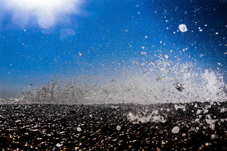 in cat timp isi face efectul otrava de soareci la caini