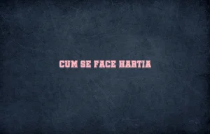 cum se face hartia